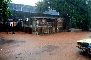 Gallinero mojado / Moncho Satoló