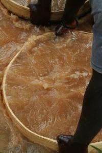 A menear el cedazo / Moncho Satoló