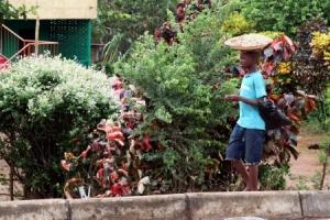 Infacia de adultos / Moncho Satoló