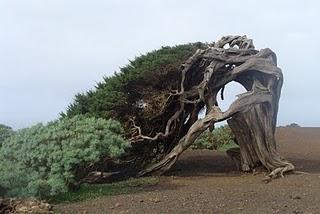 El Hierro, allí donde el mundo empieza