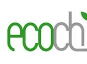Eco-Chic Fasion