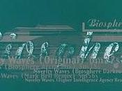 Biosphere novelty waves