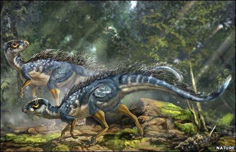 Protoplumas en un heterodontosáurido!!!!!