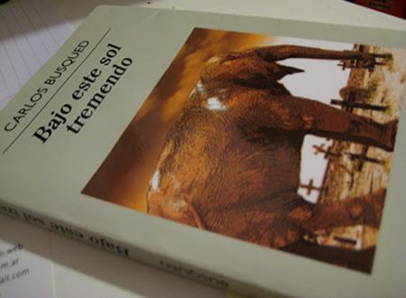 Bajo este sol tremendo - Carlos Busqued