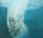 Eric Zener.