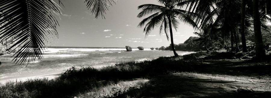 Supervivientes - Intimidad