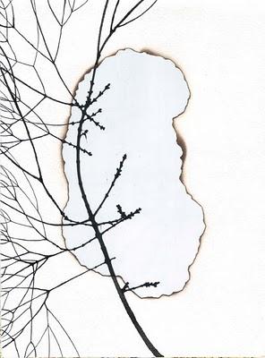 Imágenes del incendio (I)