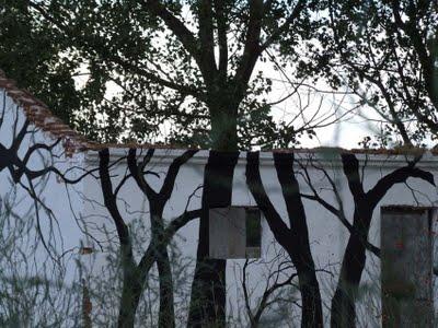 Antiguo almacén de hielo (II)