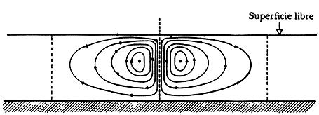 Orden y sistemas vivientes