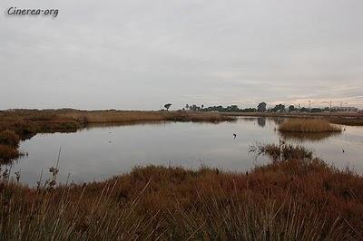 Els Muntanyans - Torredembarra (Tarragona)