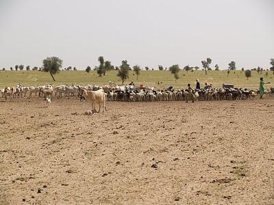 Los peul, anclados en el tiempo