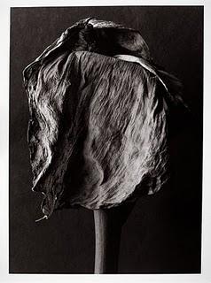 Cuando crezcas, descubrirás que ya defendiste mentiras, t...