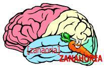 ¿Cuándo puedo introducir la “lectura” en la vida de mi hijo?