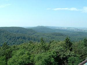 HOY HACE 2000 AÑOS :LA BATALLA DEL BOSQUE DE TEUTOBURGO