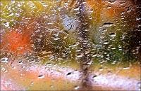 Otoño, noise, dream