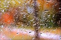 Otoño, noise, dream pop