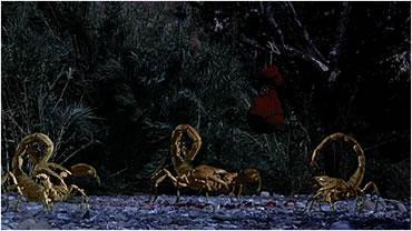 Los juguetes de Zeus