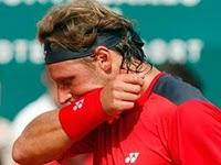 Punto final para la ilusión de Nalbandian