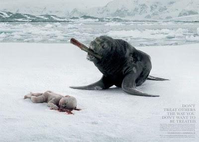 Peleando por la Vida: Buenas Ideas, Buenos Diseños, Buenos Mensajes