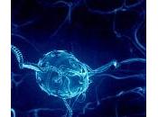 Mejorando cuerpo humano: Nanobots neuronas