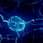 Mejorando el cuerpo humano: Nanobots neuronas.
