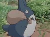 Barcelona Gandía, próximos destinos para vecino Totoro'