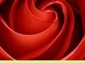 Sant Jordi 2010