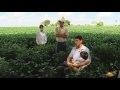 John, Olga, y el mundo según Monsanto