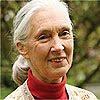 Jane Goodall