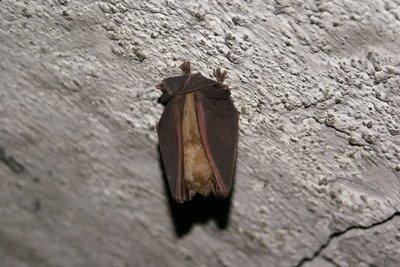 Abandonos abandonados 2