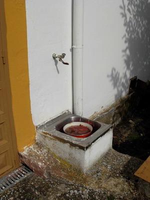 Abandonos abandonados 2