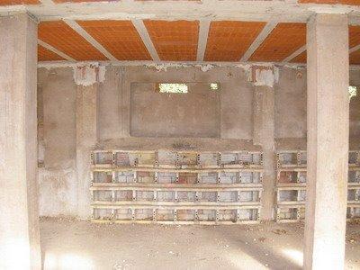 Abandonos abandonados 2