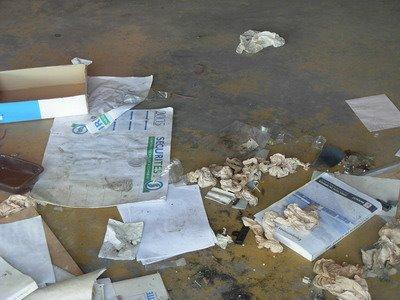 Abandonos abandonados 2