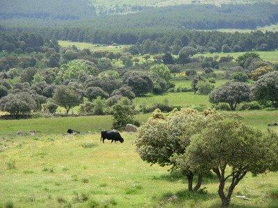 El Panorámico de Segovia (1ª parte)