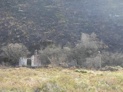 El FFCC Santander - Mediterráneo (8ª parte) El FFCC Santander - Mediterráneo (8ª parte)