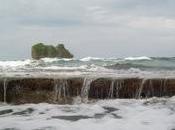 SAVE PUERTO VIEJO, GANDOCA -MANZANILLO Facebook