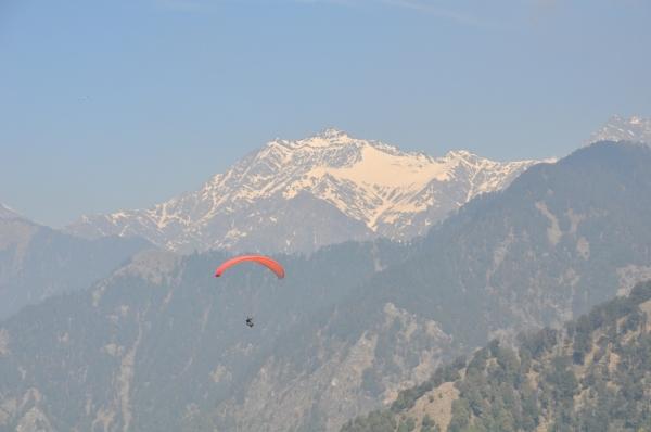 Un pájaro sobre los Himalayas