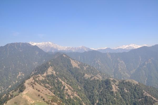 Un pájaro sobre los Himalayas