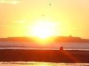 Musicoterapia Vivaldi Mozart Bach