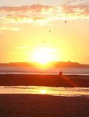 Musicoterapia Vivaldi Mozart  Bach