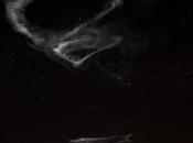 Éxito lanzamiento misión Atrex NASA