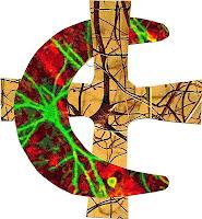 120 neuròlogos debaten en Alcoi sobre enfermedades neurològicas y tratamientos