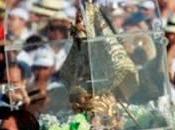 Llega imagen Virgen Caridad para misa Papa