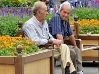 Conozca cuáles son los pasos para acceder a una jubilación en la ONP