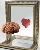 El cerebro del Co-razón.