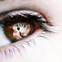 Educar, el arte de encender los ojos.Videotexto.