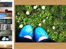 PicMonkey, potente editor imágenes online