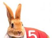 Música para liebre…