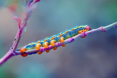 Disparates y otras historias: el resumen de la semana