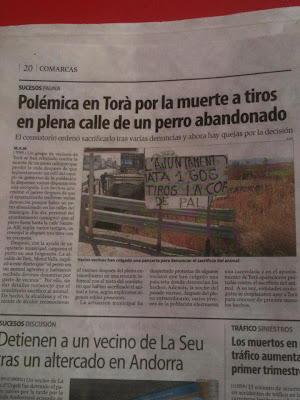 Un teniente de alcalde dispara contra un perro abandonado y lo remata a bastonazos